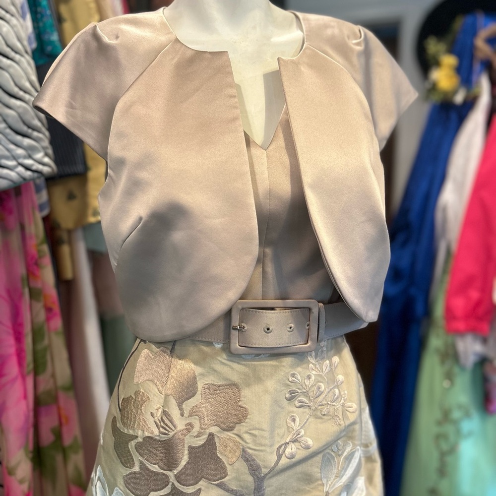 Classic Silk Embroidered Dress
